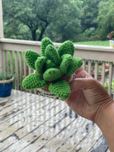 Crochet Succulent • Desk Buddy • Smiling Succulent